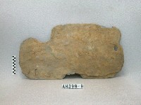 藏品(板棺側板殘片)的圖片